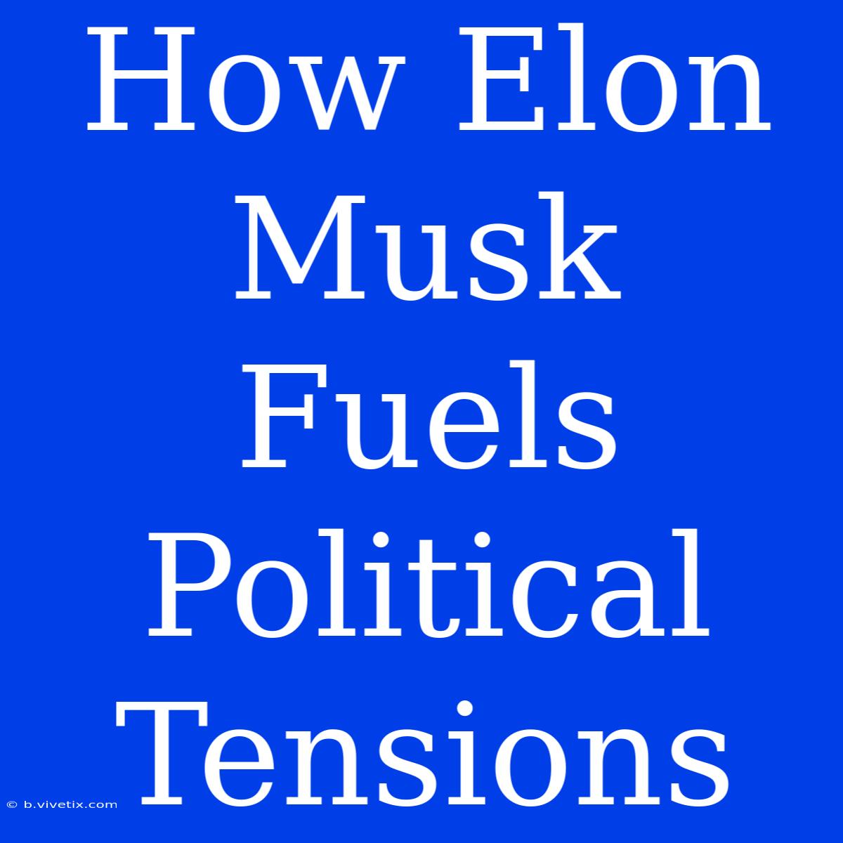 How Elon Musk Fuels Political Tensions