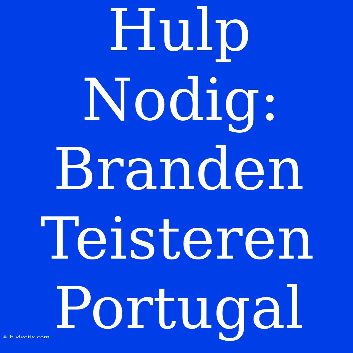 Hulp Nodig: Branden Teisteren Portugal 