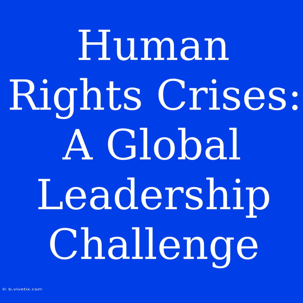 Human Rights Crises: A Global Leadership Challenge