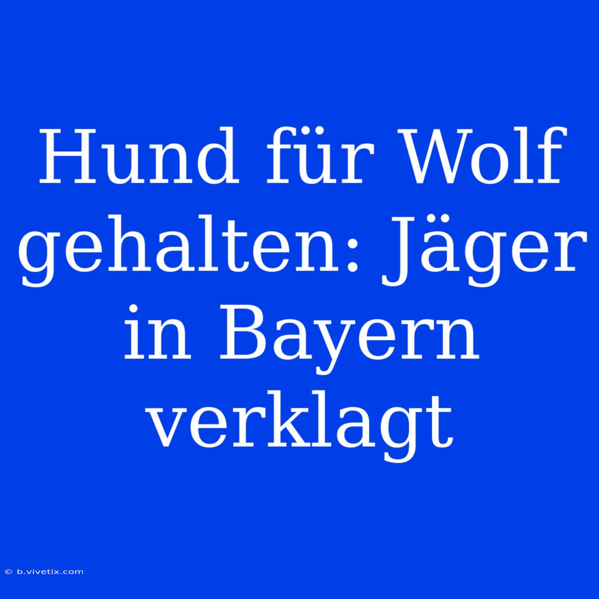 Hund Für Wolf Gehalten: Jäger In Bayern Verklagt