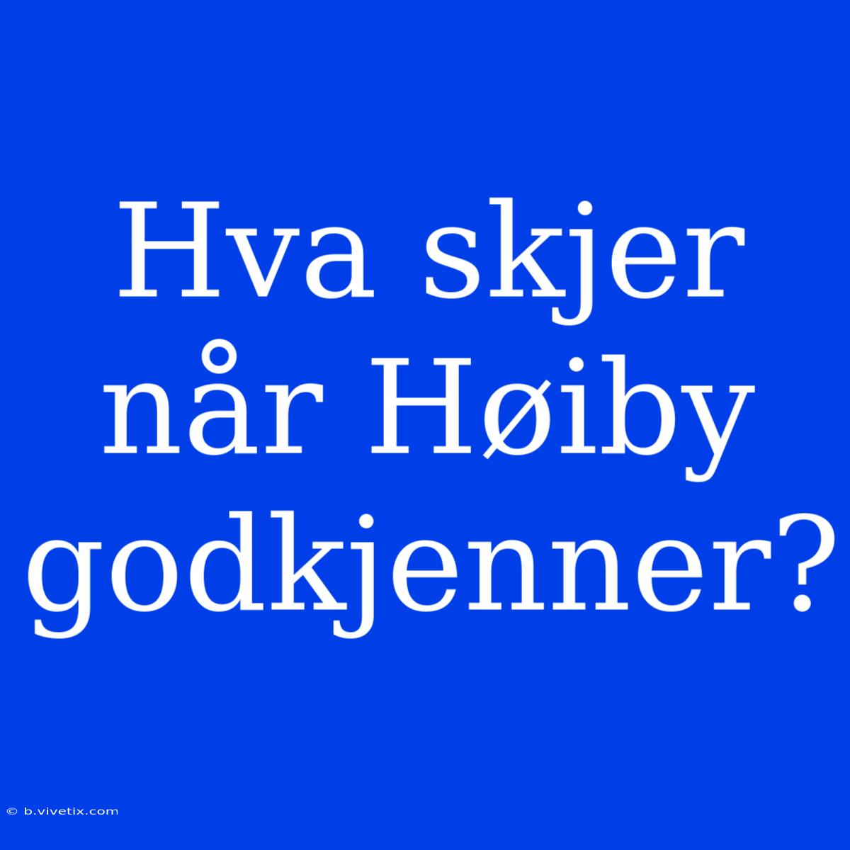 Hva Skjer Når Høiby Godkjenner?