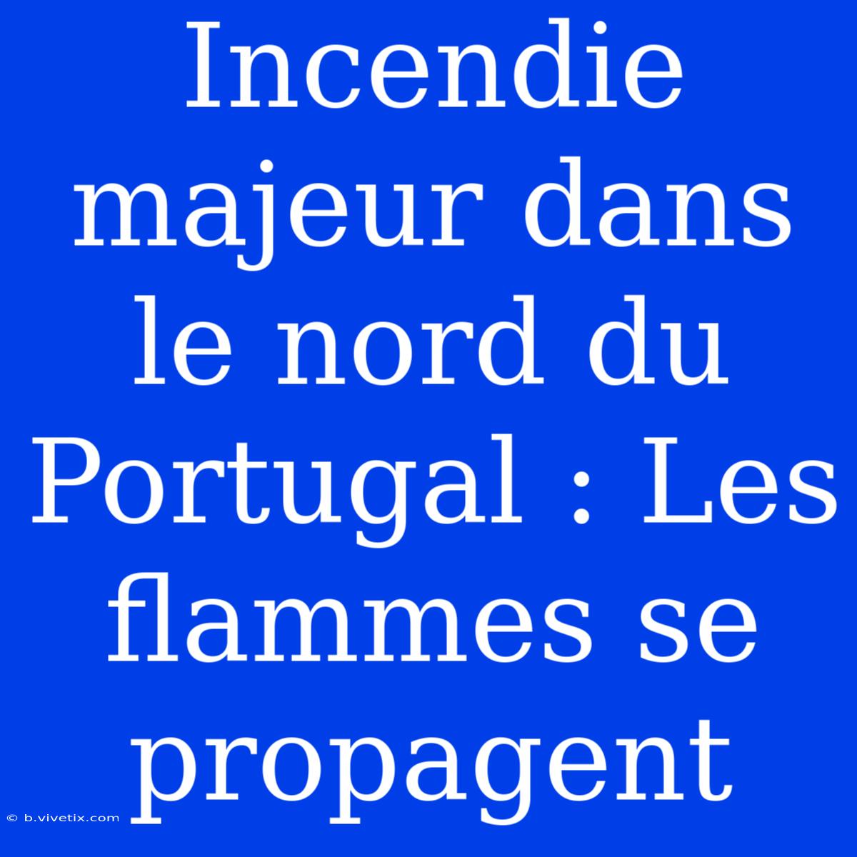 Incendie Majeur Dans Le Nord Du Portugal : Les Flammes Se Propagent