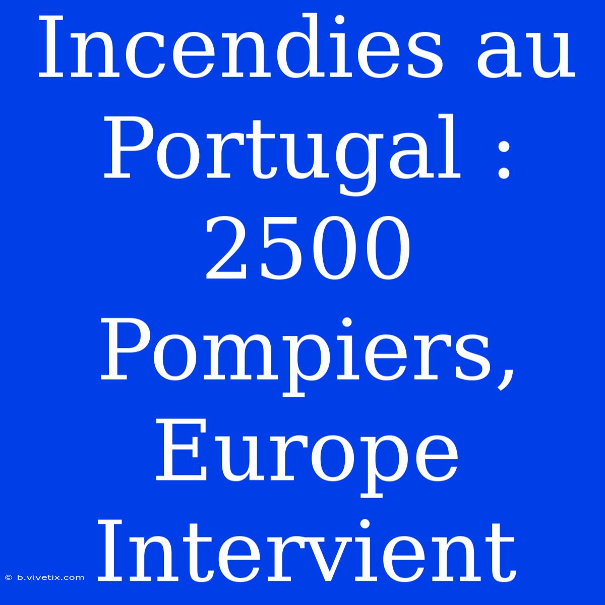 Incendies Au Portugal : 2500 Pompiers, Europe Intervient