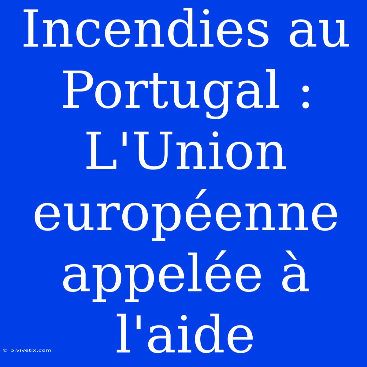 Incendies Au Portugal : L'Union Européenne Appelée À L'aide