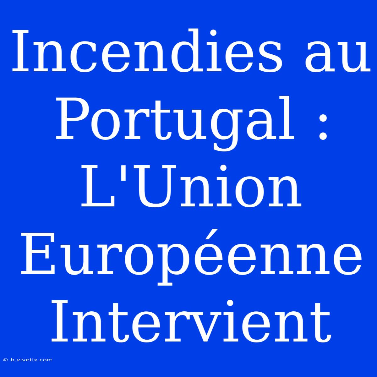 Incendies Au Portugal : L'Union Européenne Intervient