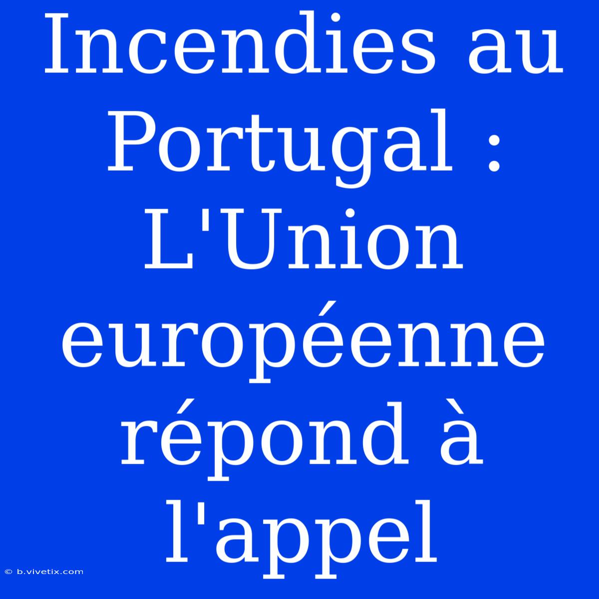 Incendies Au Portugal : L'Union Européenne Répond À L'appel