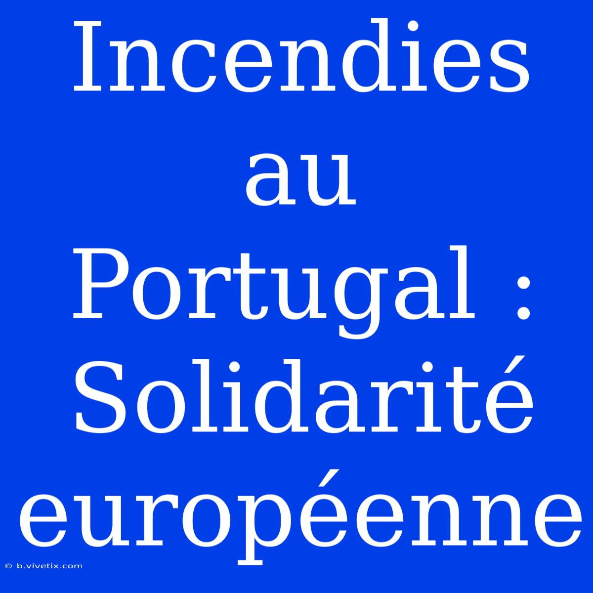 Incendies Au Portugal : Solidarité Européenne 