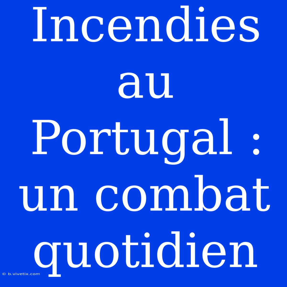 Incendies Au Portugal : Un Combat Quotidien