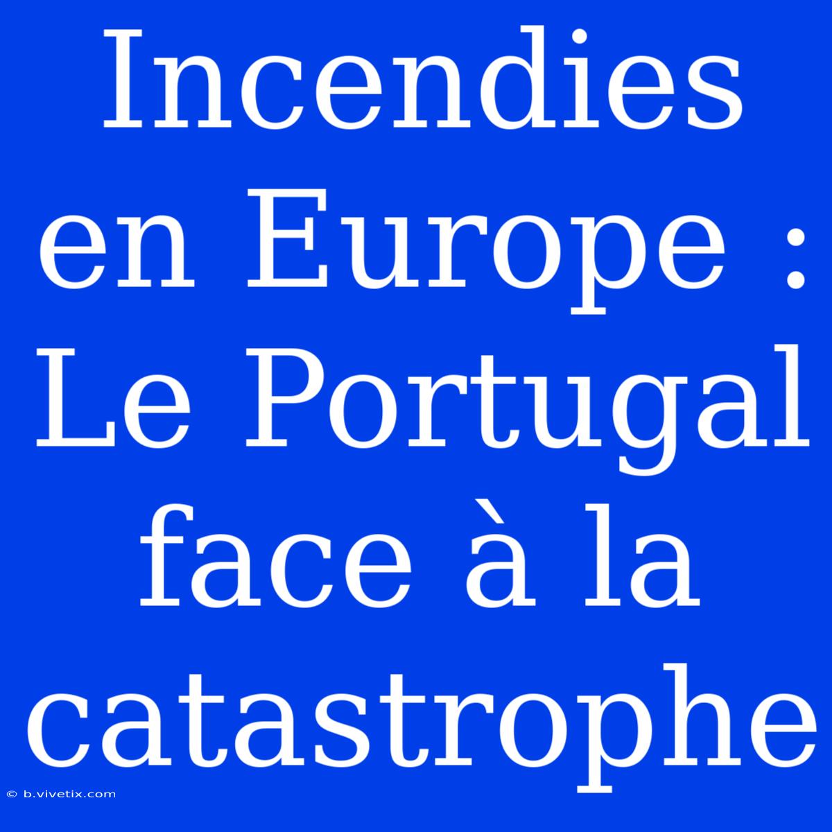 Incendies En Europe : Le Portugal Face À La Catastrophe