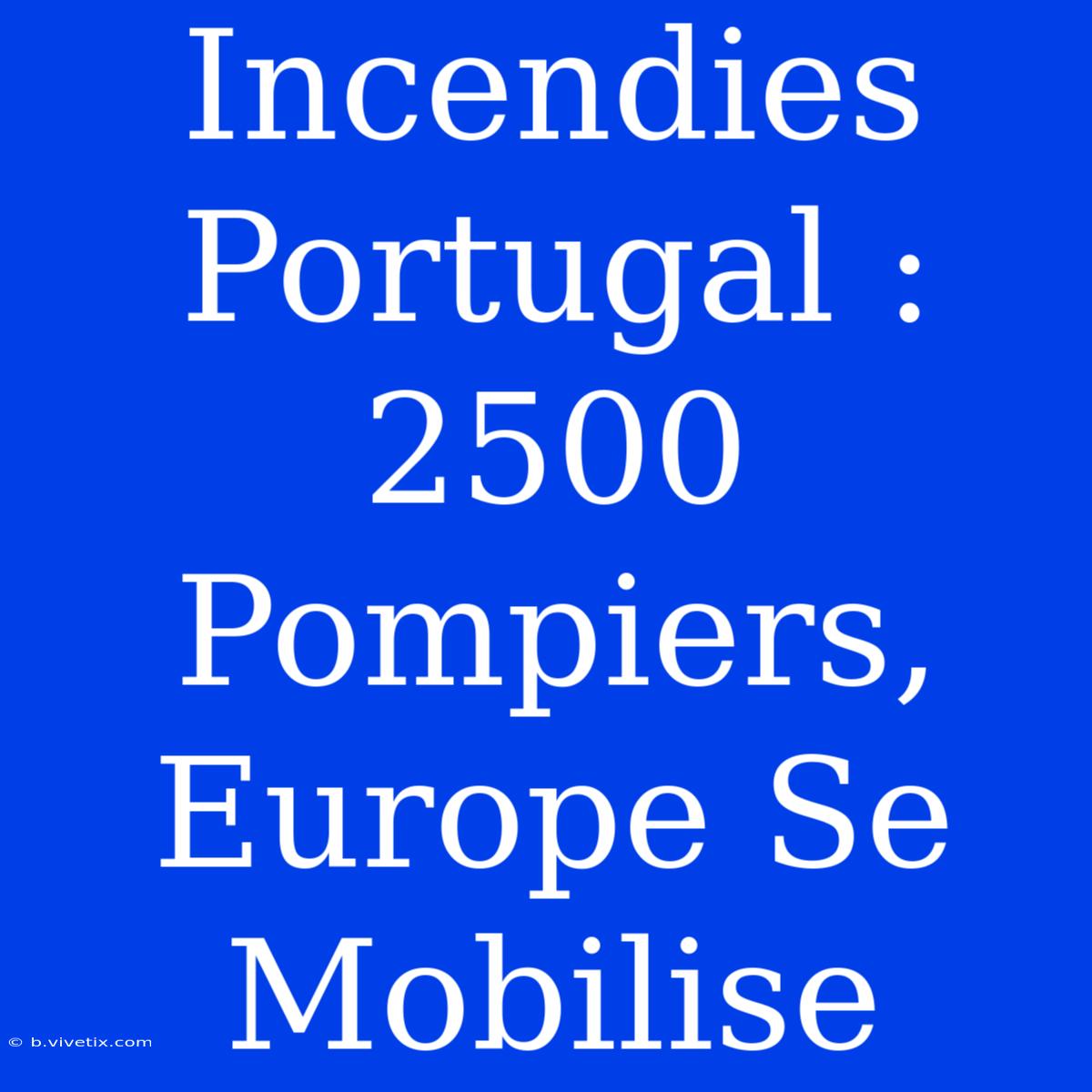 Incendies Portugal : 2500 Pompiers, Europe Se Mobilise