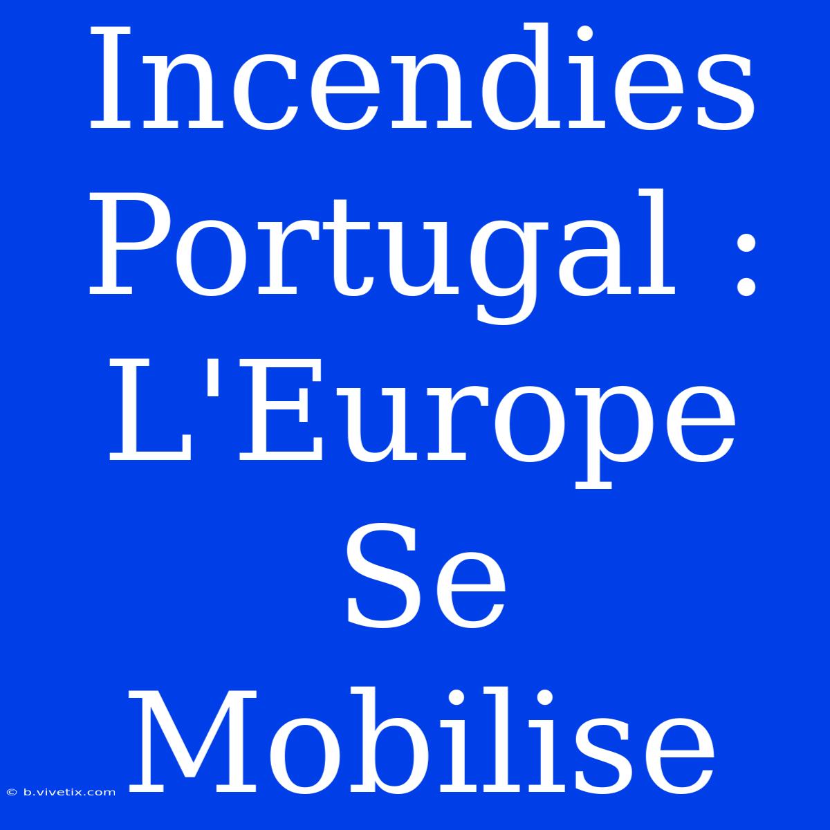 Incendies Portugal : L'Europe Se Mobilise