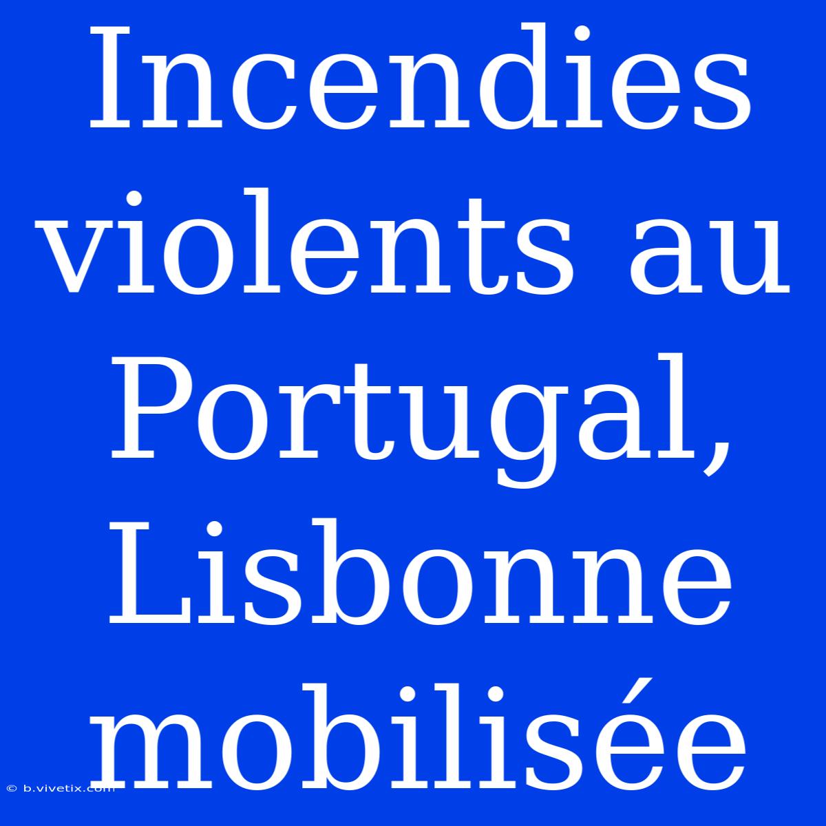 Incendies Violents Au Portugal, Lisbonne Mobilisée