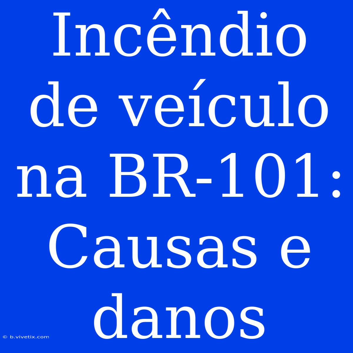 Incêndio De Veículo Na BR-101: Causas E Danos