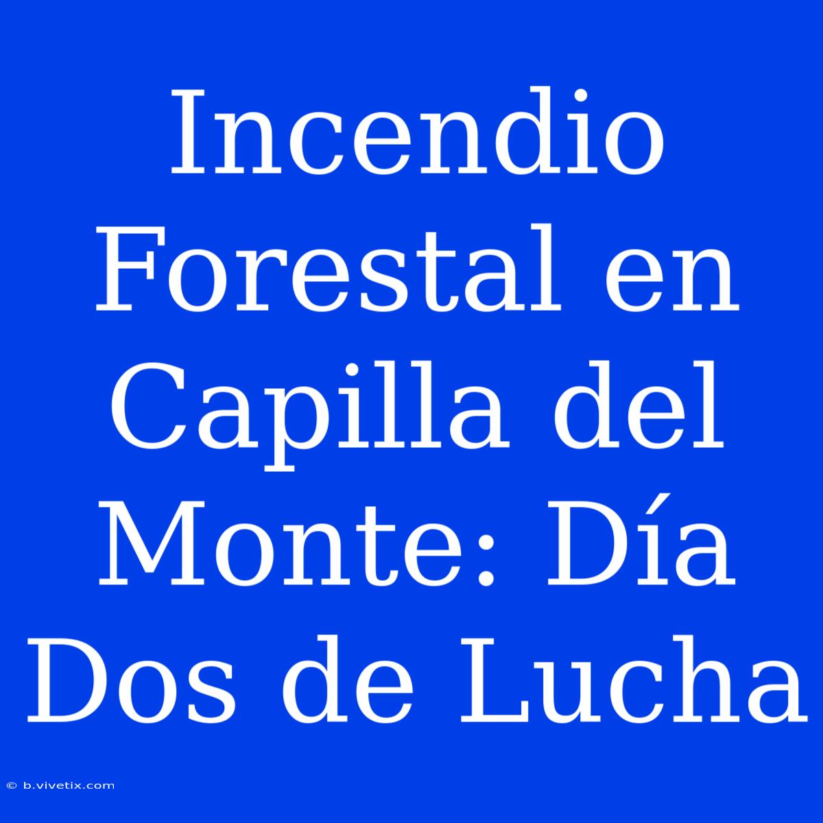 Incendio Forestal En Capilla Del Monte: Día Dos De Lucha