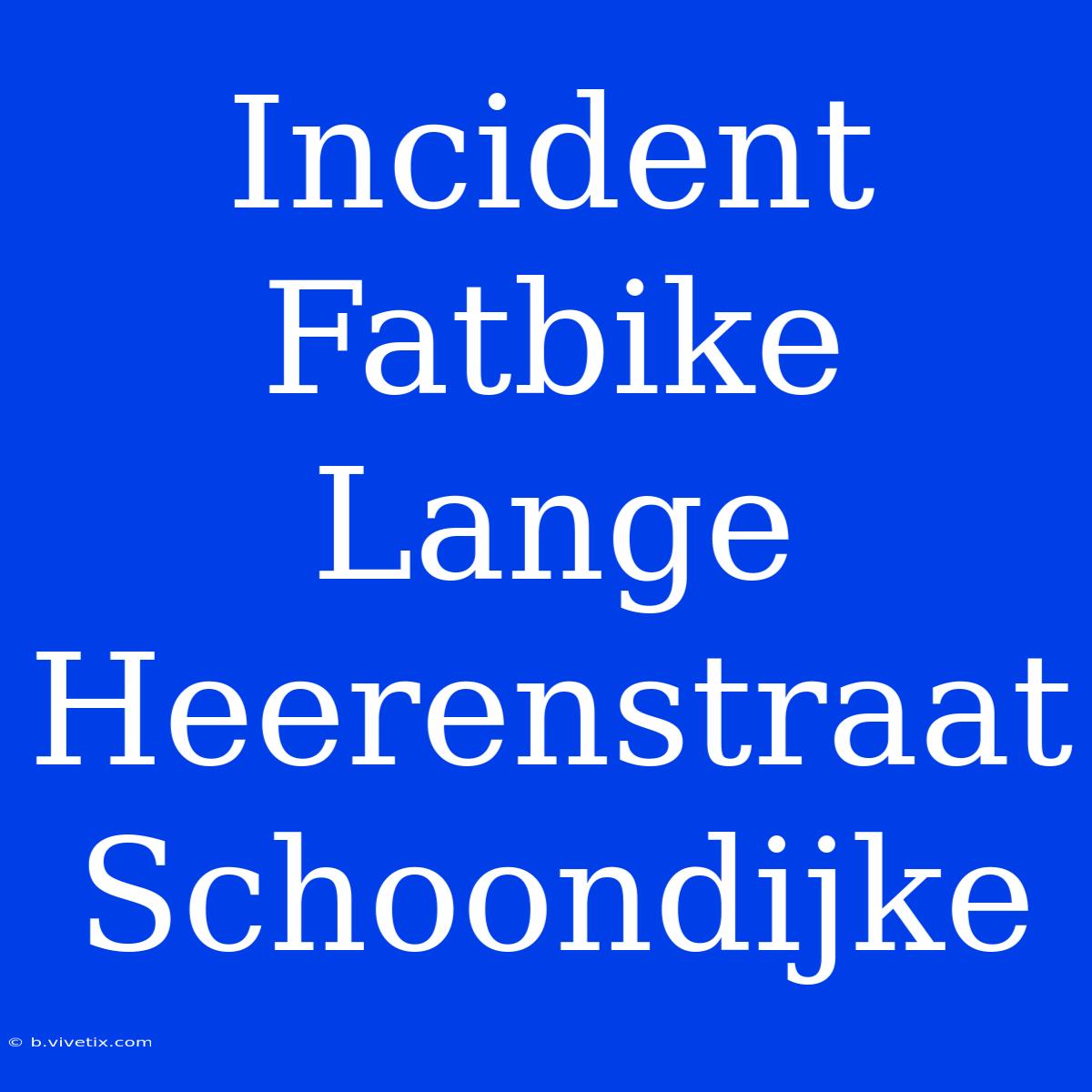 Incident Fatbike Lange Heerenstraat Schoondijke