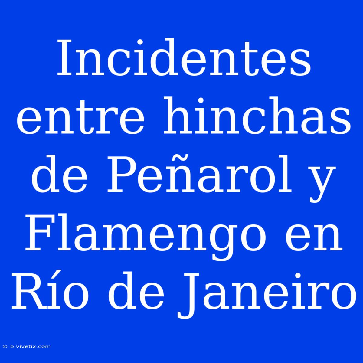 Incidentes Entre Hinchas De Peñarol Y Flamengo En Río De Janeiro