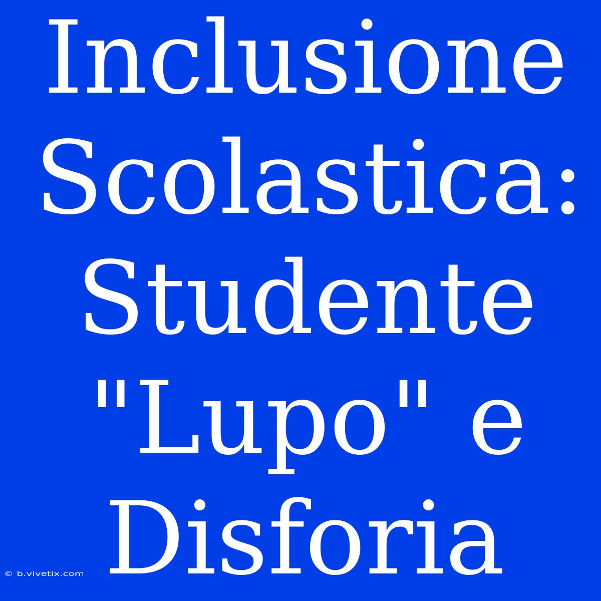 Inclusione Scolastica: Studente 