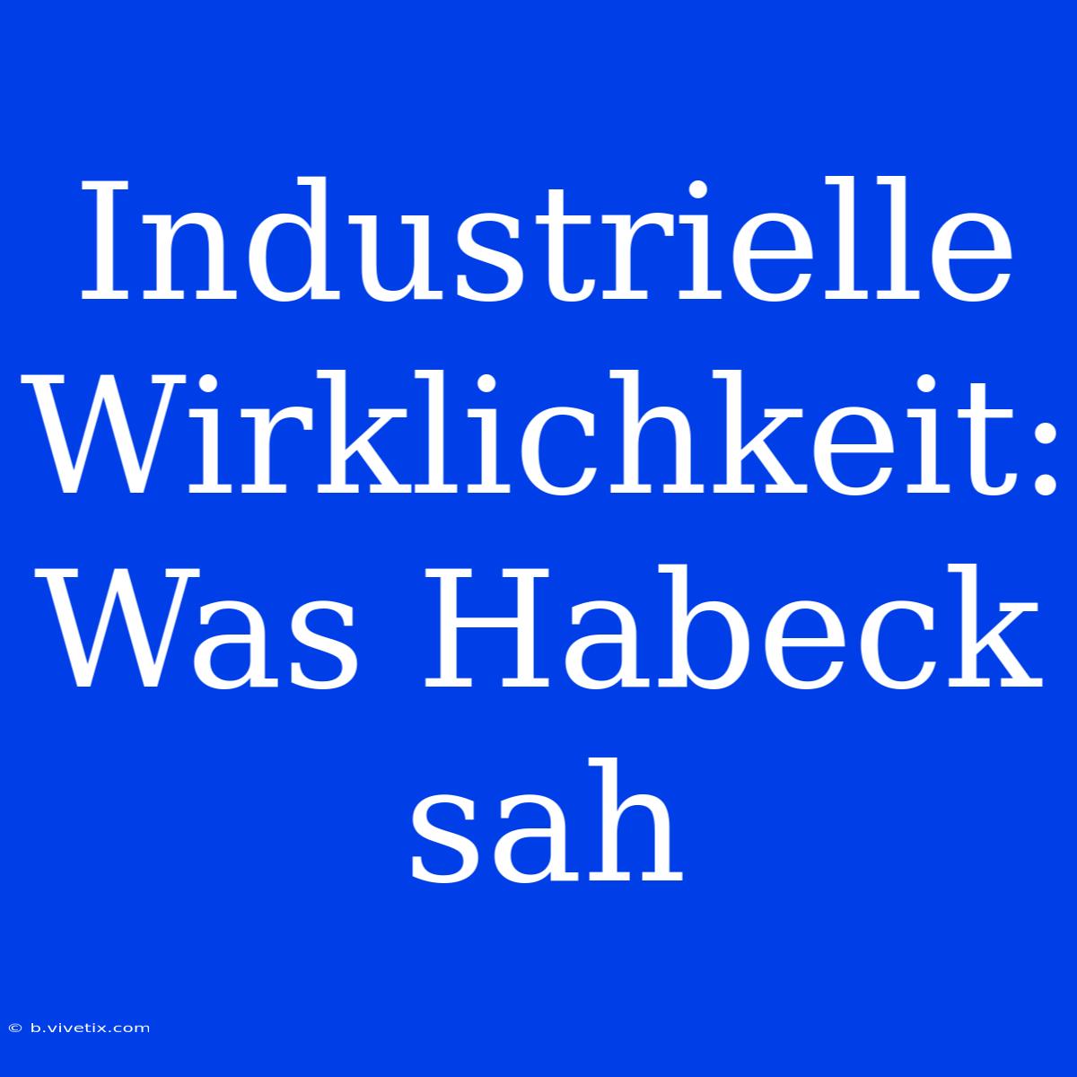 Industrielle Wirklichkeit: Was Habeck Sah