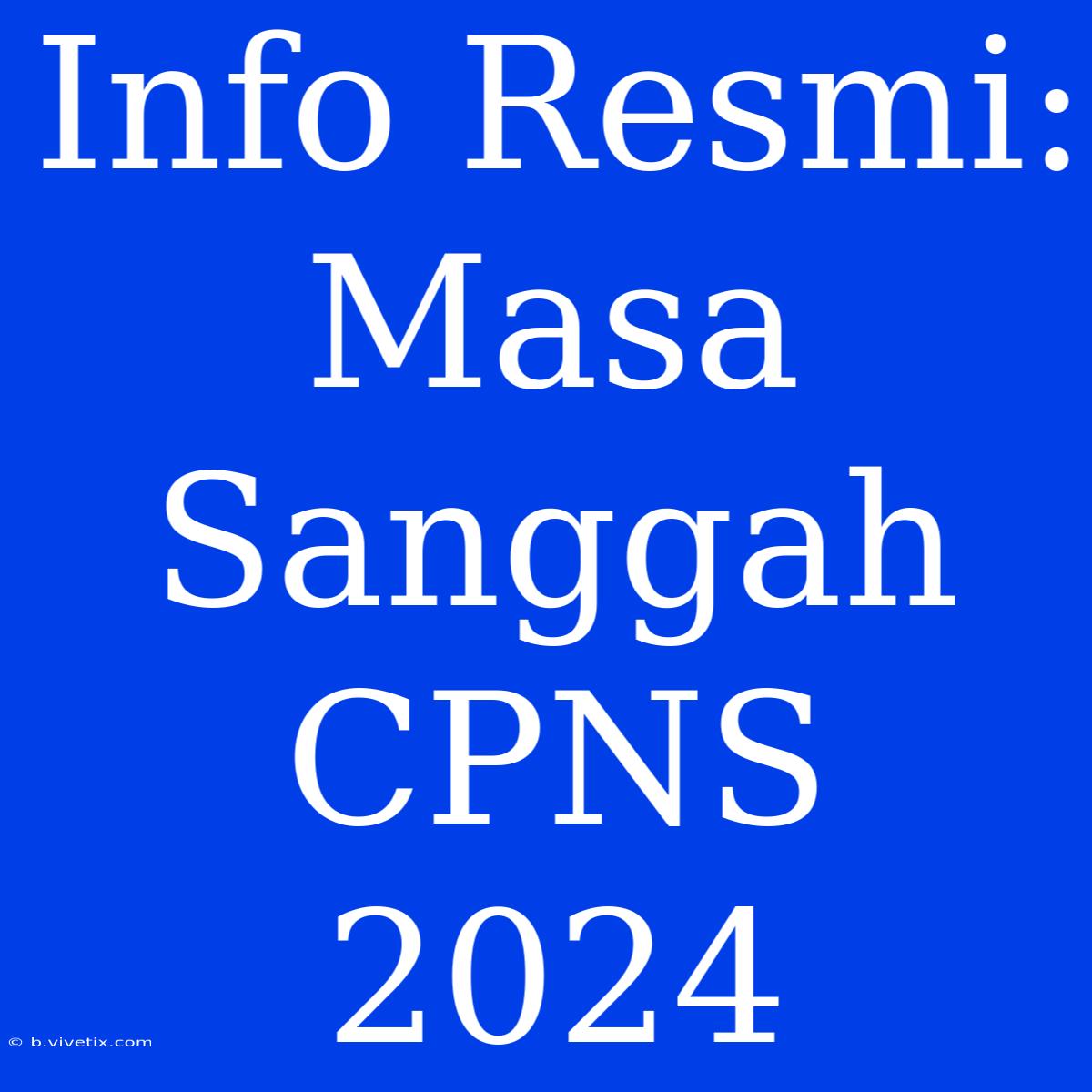 Info Resmi: Masa Sanggah CPNS 2024