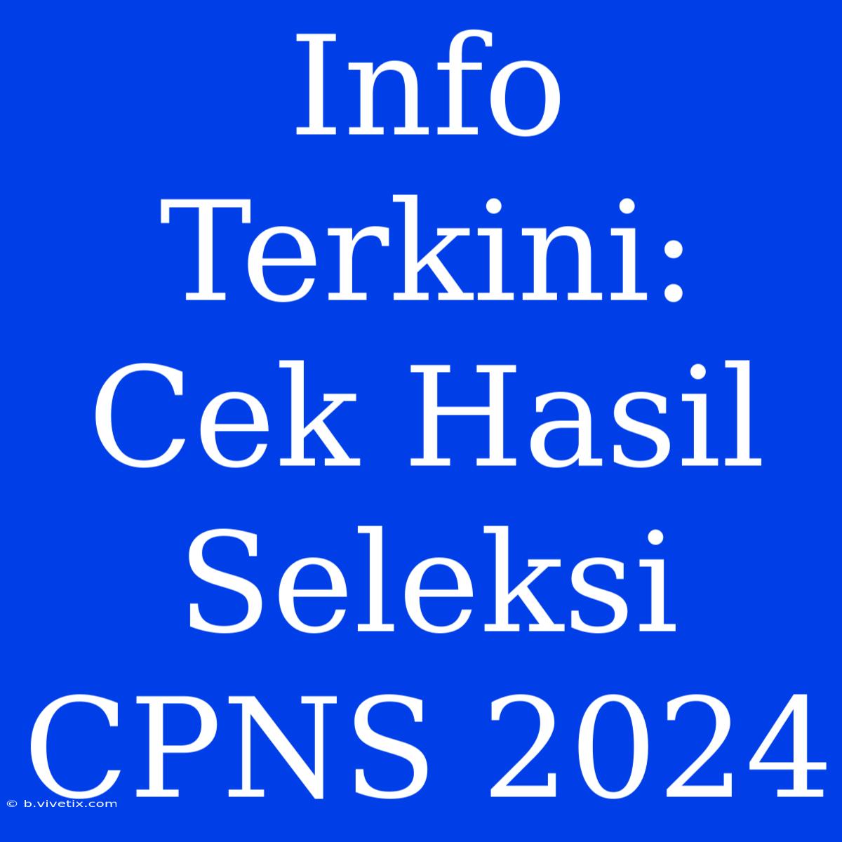 Info Terkini: Cek Hasil Seleksi CPNS 2024