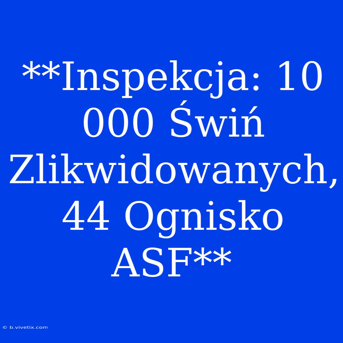 **Inspekcja: 10 000 Świń Zlikwidowanych, 44 Ognisko ASF**