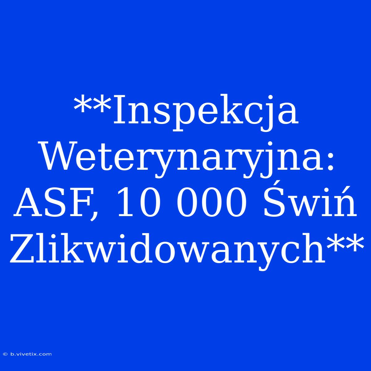 **Inspekcja Weterynaryjna: ASF, 10 000 Świń Zlikwidowanych**