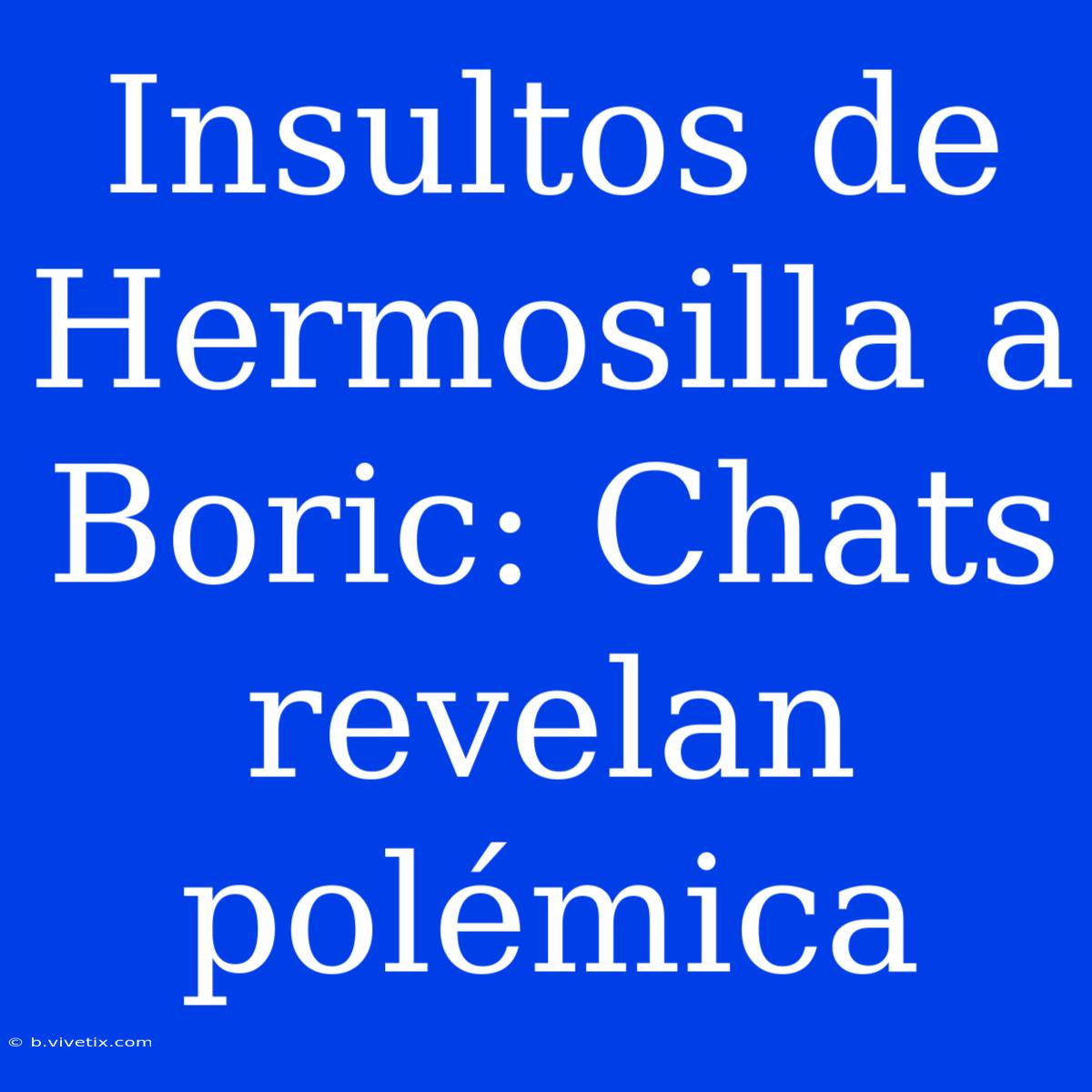 Insultos De Hermosilla A Boric: Chats Revelan Polémica