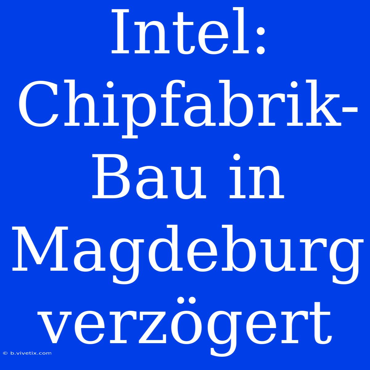 Intel: Chipfabrik-Bau In Magdeburg  Verzögert