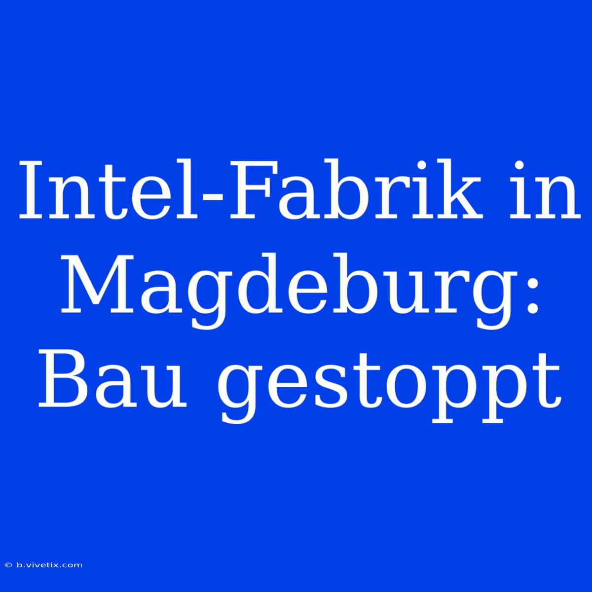 Intel-Fabrik In Magdeburg: Bau Gestoppt