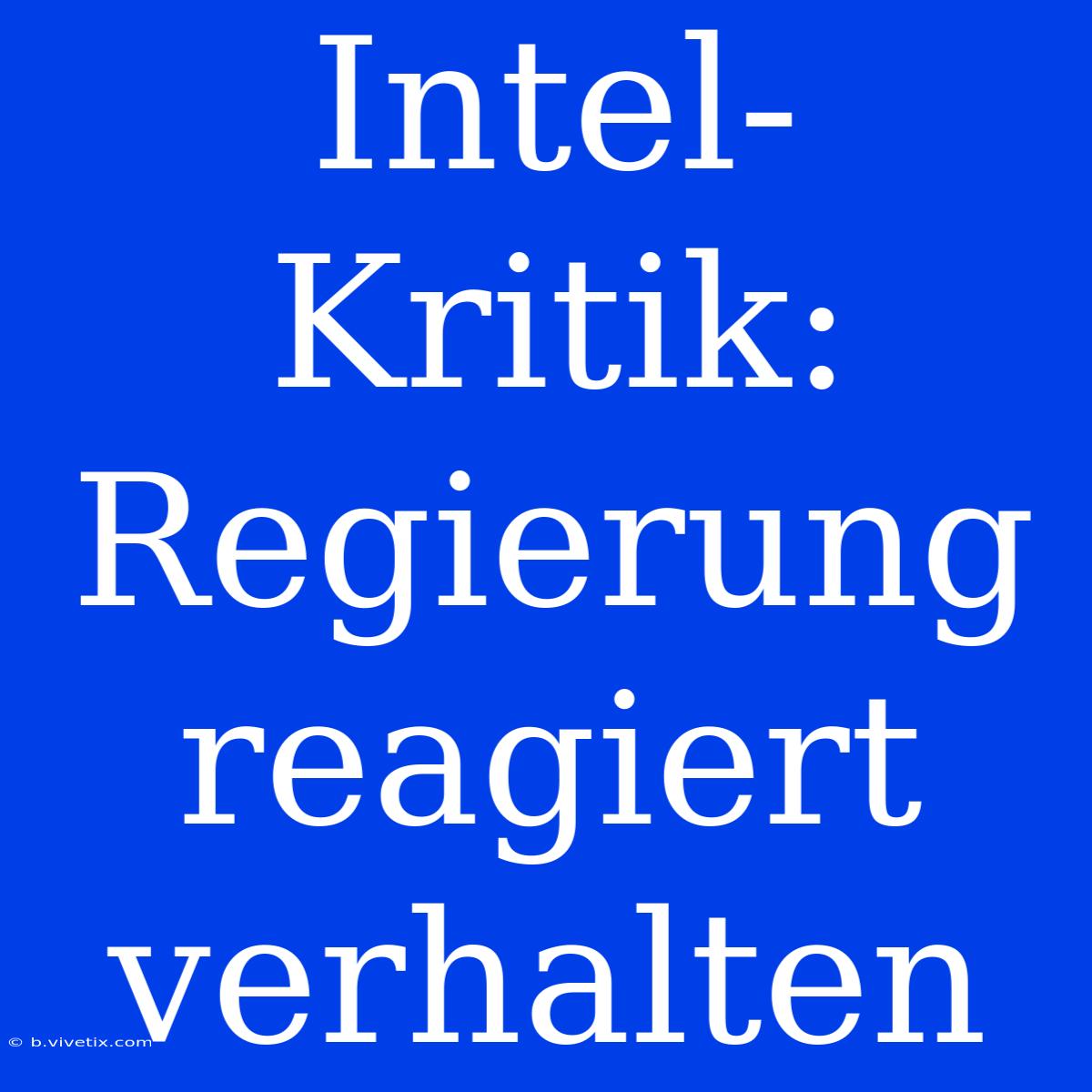 Intel-Kritik: Regierung Reagiert Verhalten