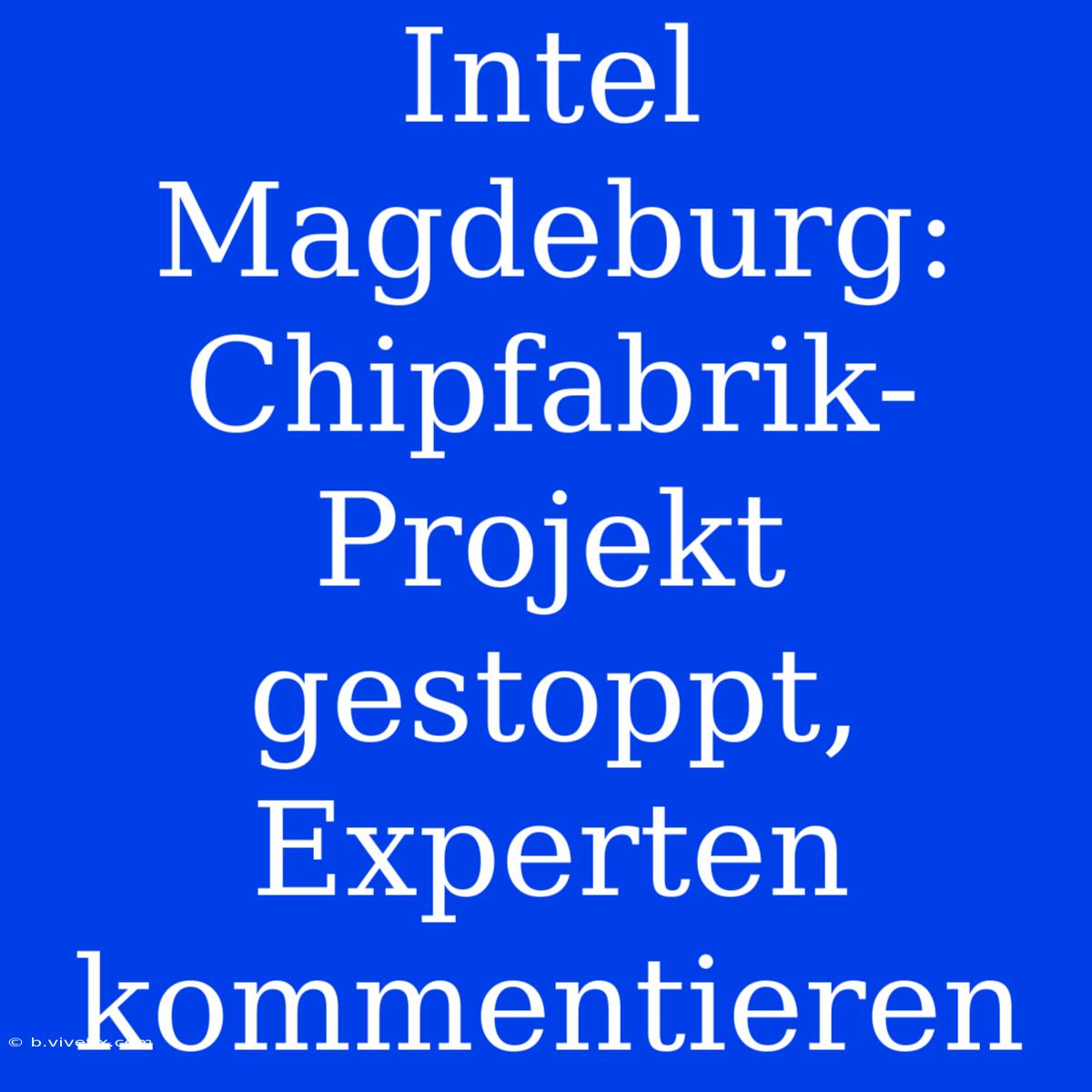 Intel Magdeburg: Chipfabrik-Projekt Gestoppt, Experten Kommentieren