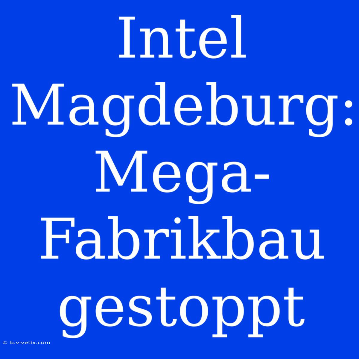 Intel Magdeburg: Mega-Fabrikbau Gestoppt