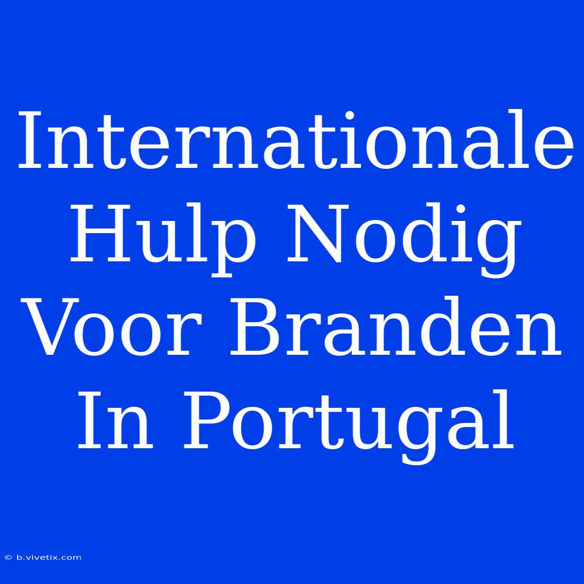 Internationale Hulp Nodig Voor Branden In Portugal 