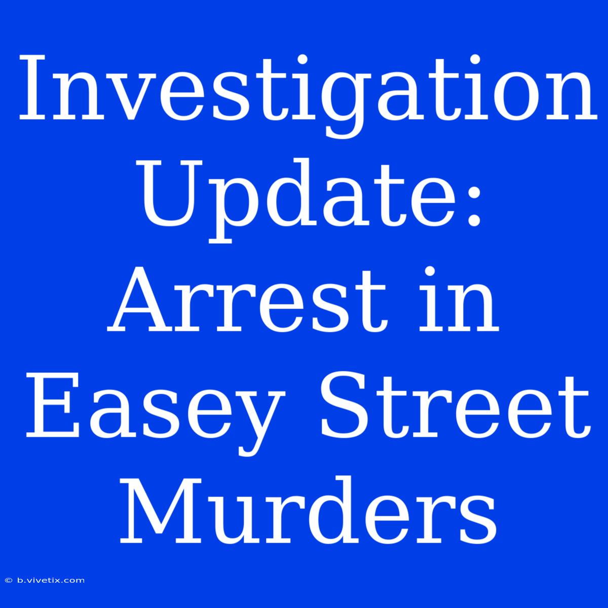 Investigation Update: Arrest In Easey Street Murders