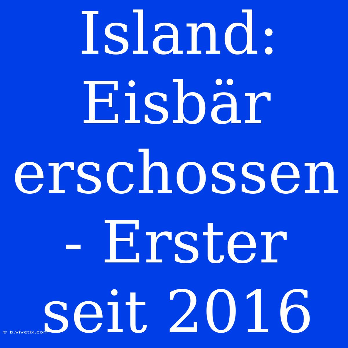 Island: Eisbär Erschossen - Erster Seit 2016