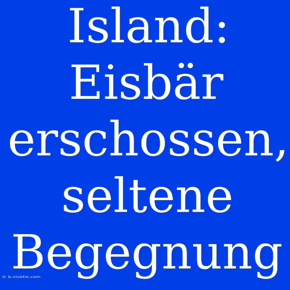 Island: Eisbär Erschossen, Seltene Begegnung