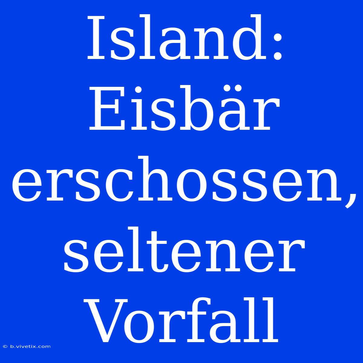 Island: Eisbär Erschossen, Seltener Vorfall