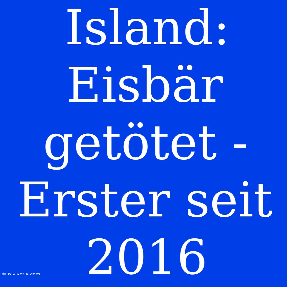 Island: Eisbär Getötet - Erster Seit 2016