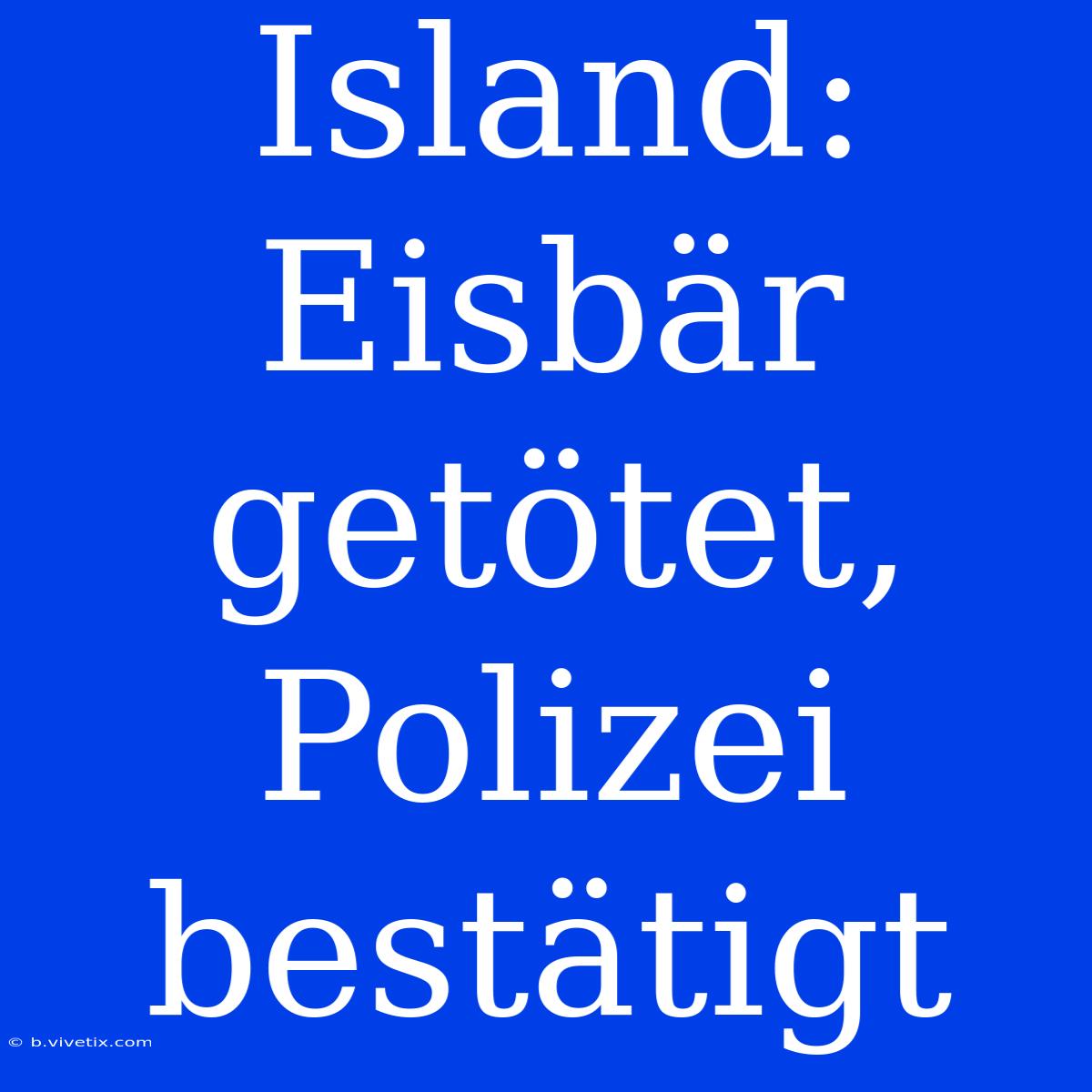 Island: Eisbär Getötet, Polizei Bestätigt