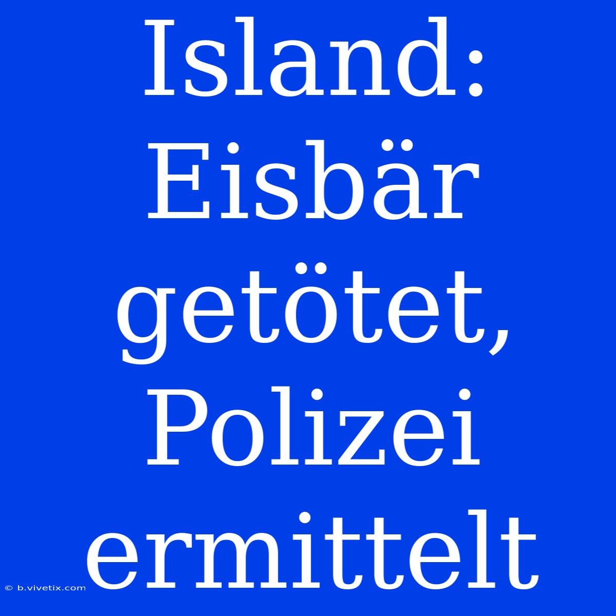 Island: Eisbär Getötet, Polizei Ermittelt