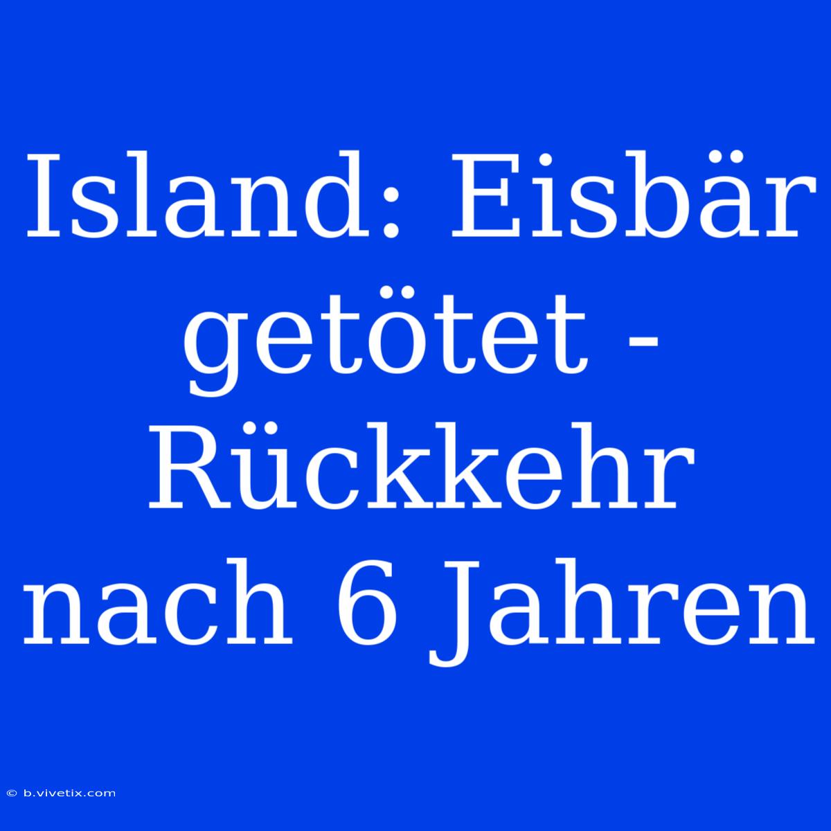 Island: Eisbär Getötet - Rückkehr Nach 6 Jahren 