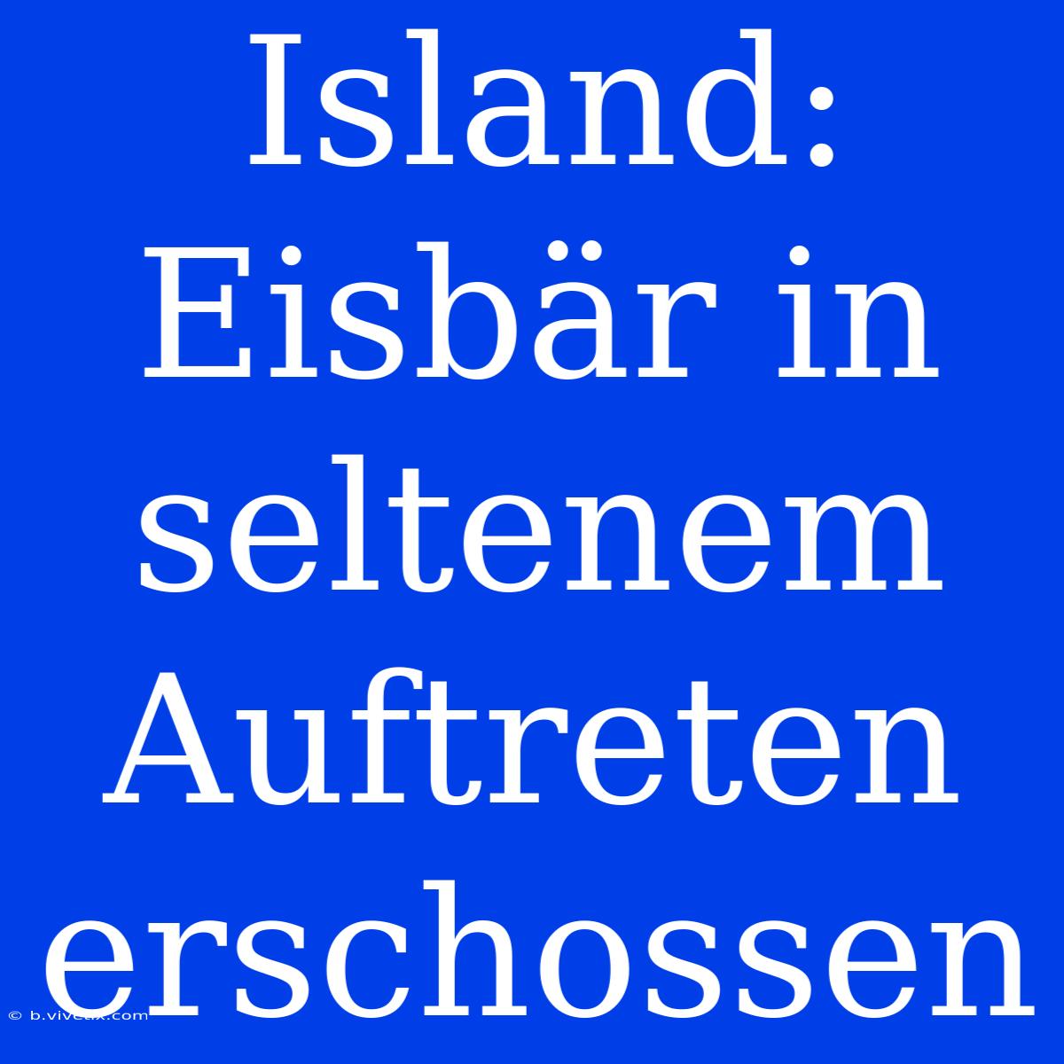 Island: Eisbär In Seltenem Auftreten Erschossen