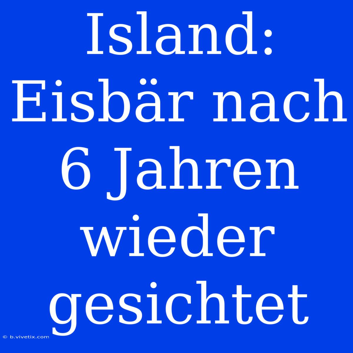 Island: Eisbär Nach 6 Jahren Wieder Gesichtet