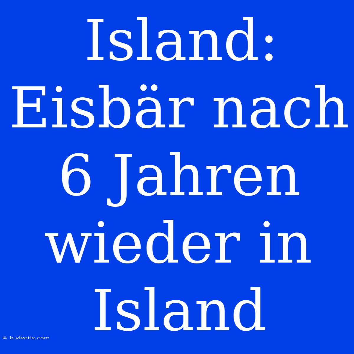 Island: Eisbär Nach 6 Jahren Wieder In Island