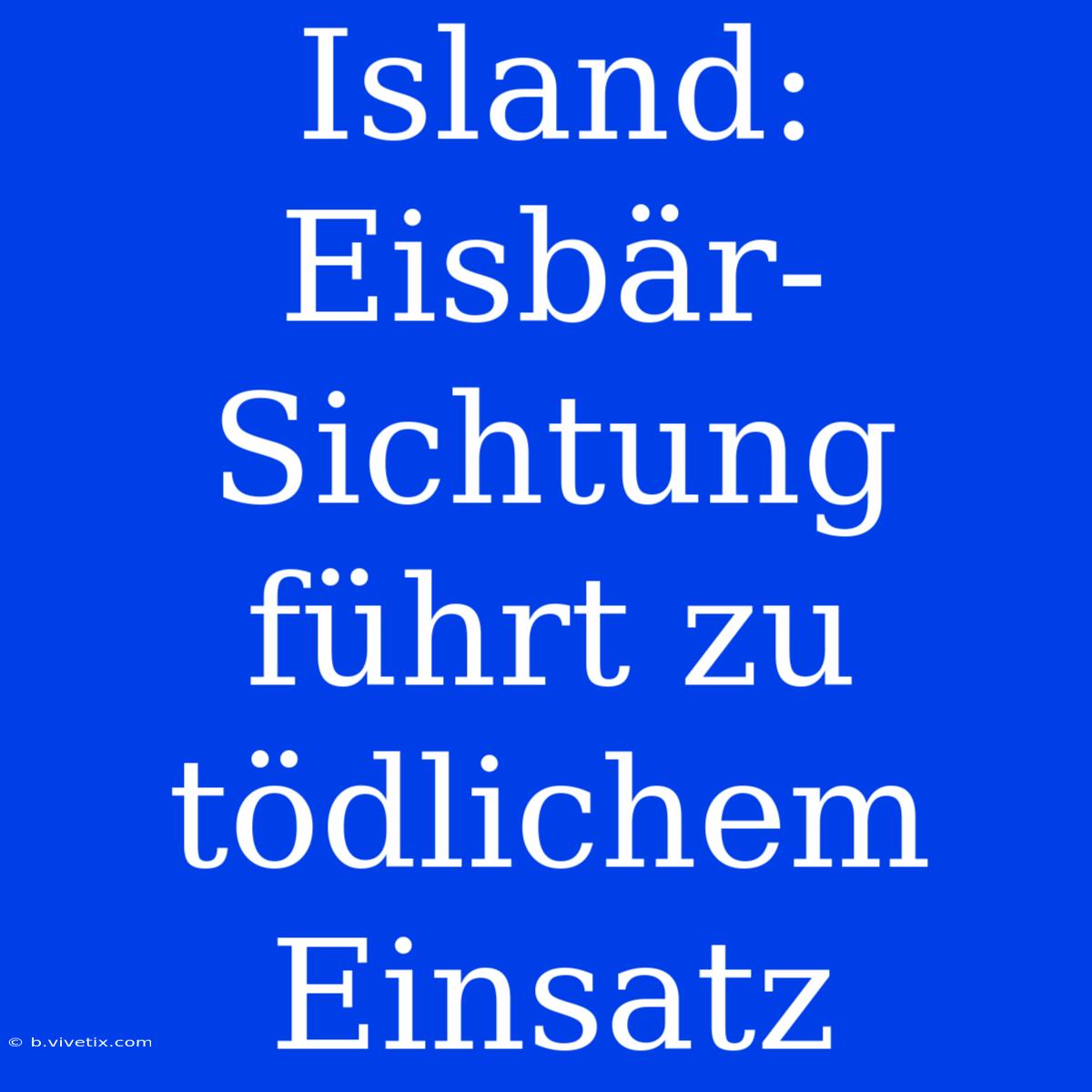 Island: Eisbär-Sichtung Führt Zu Tödlichem Einsatz