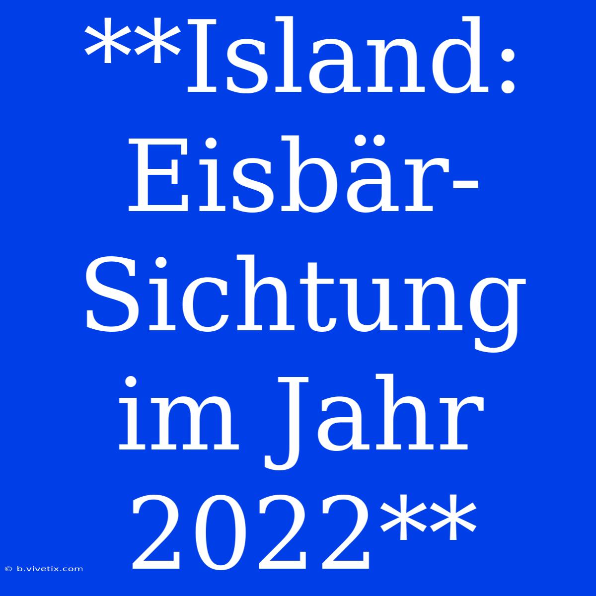 **Island: Eisbär-Sichtung Im Jahr 2022**