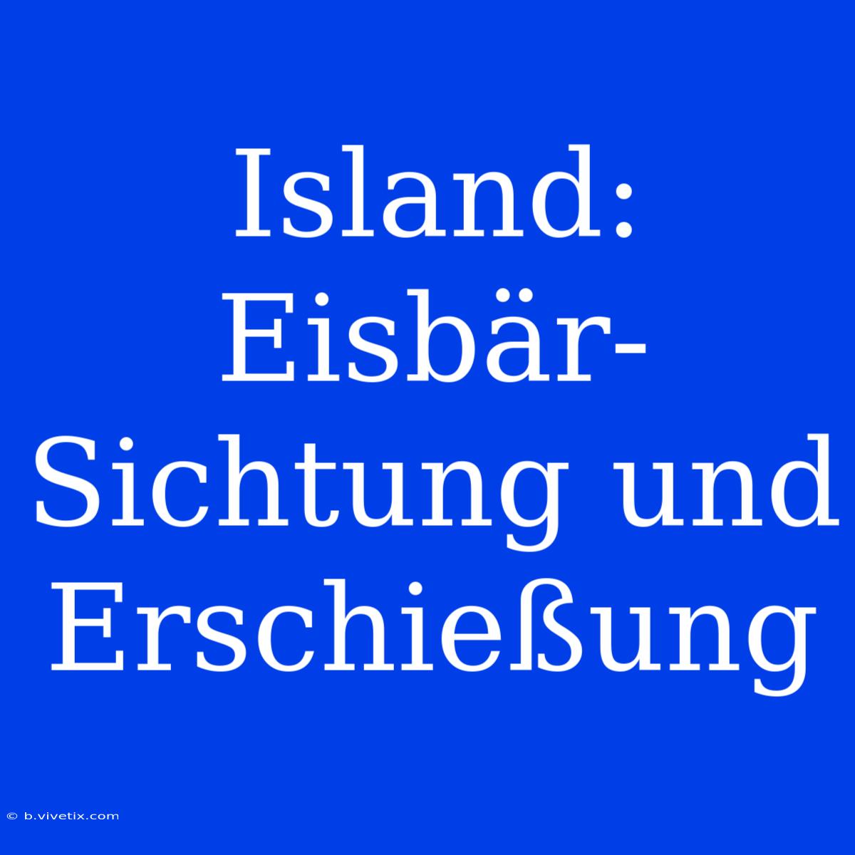 Island: Eisbär-Sichtung Und Erschießung