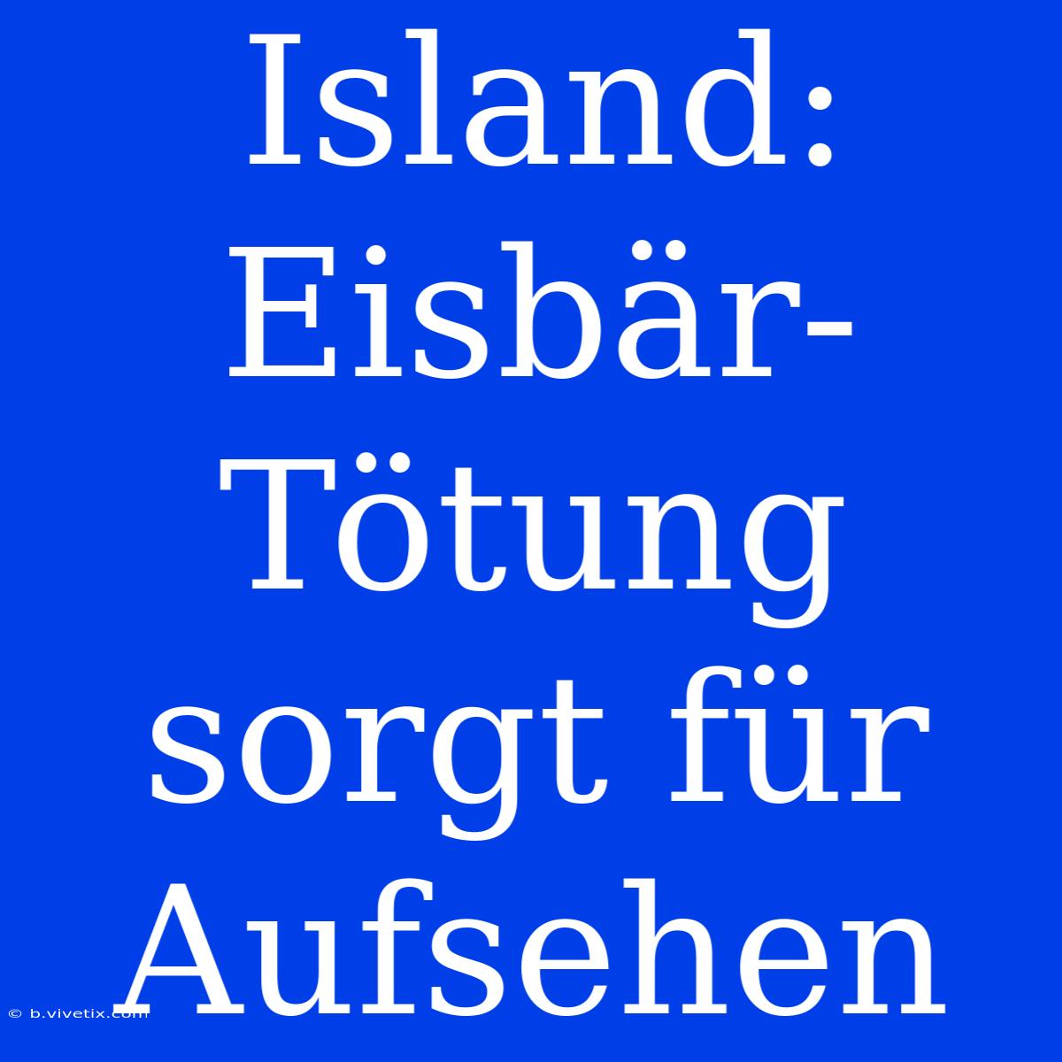 Island: Eisbär-Tötung Sorgt Für Aufsehen