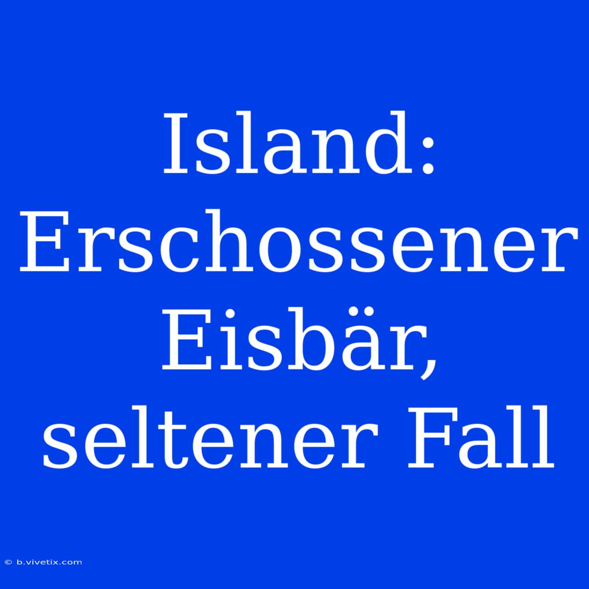 Island: Erschossener Eisbär, Seltener Fall