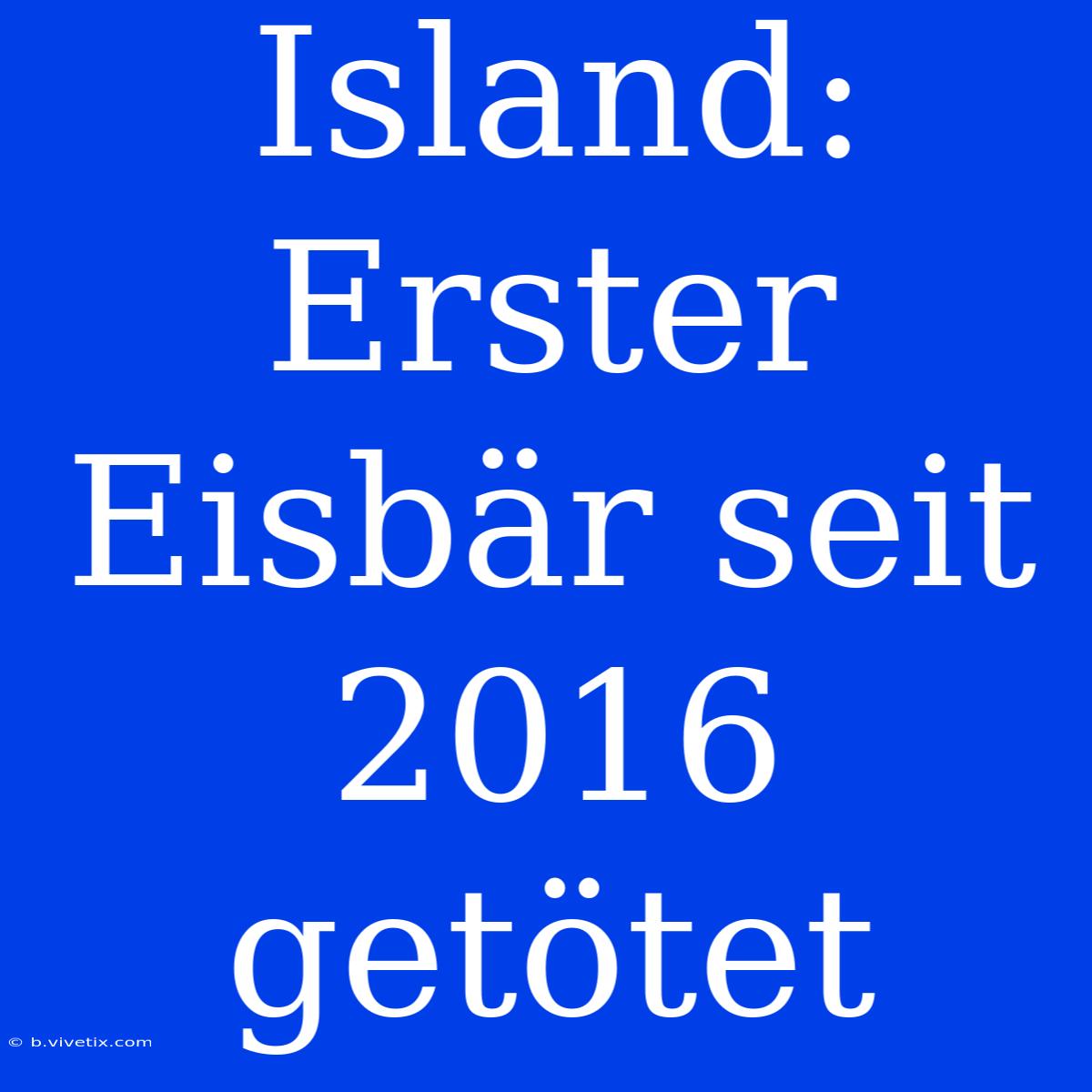 Island: Erster Eisbär Seit 2016 Getötet